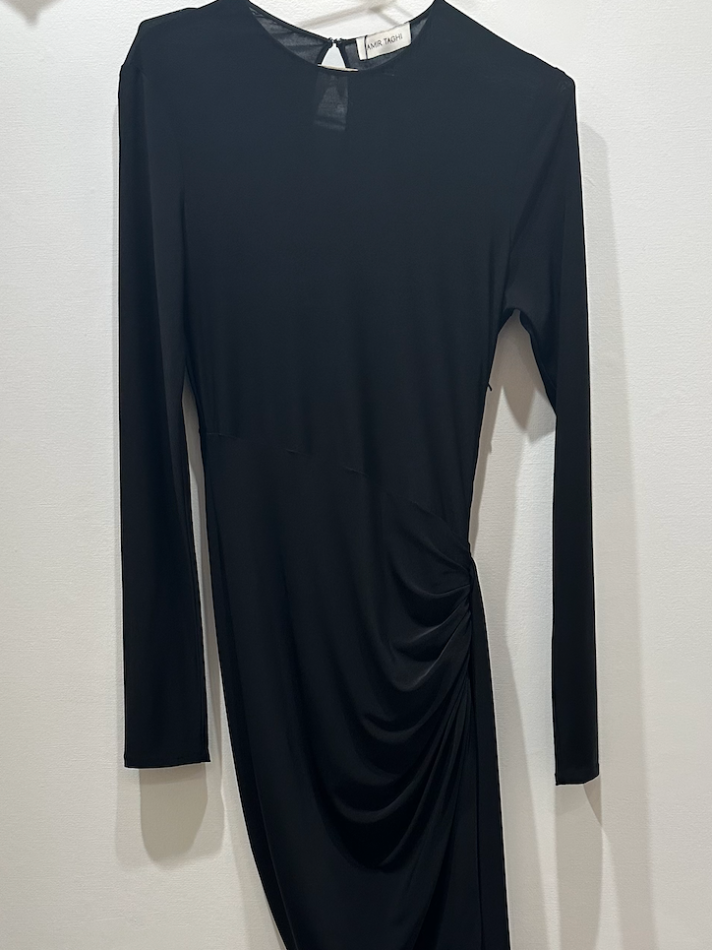 Amir Taghi Padma Dress (In Store)