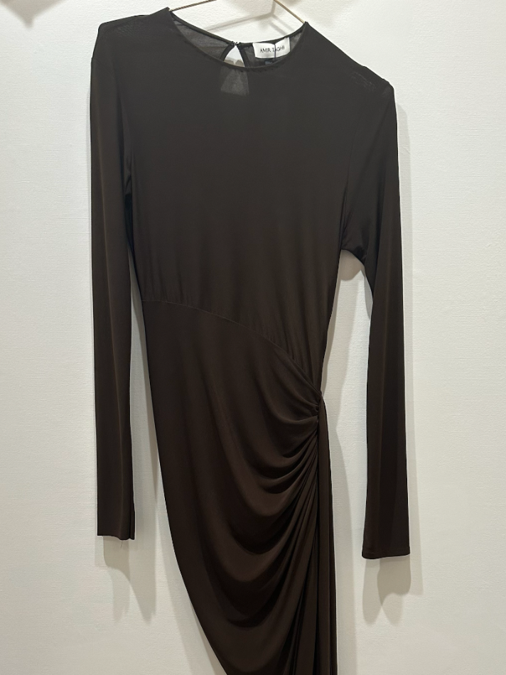 Amir Taghi Padma Dress (In Store)
