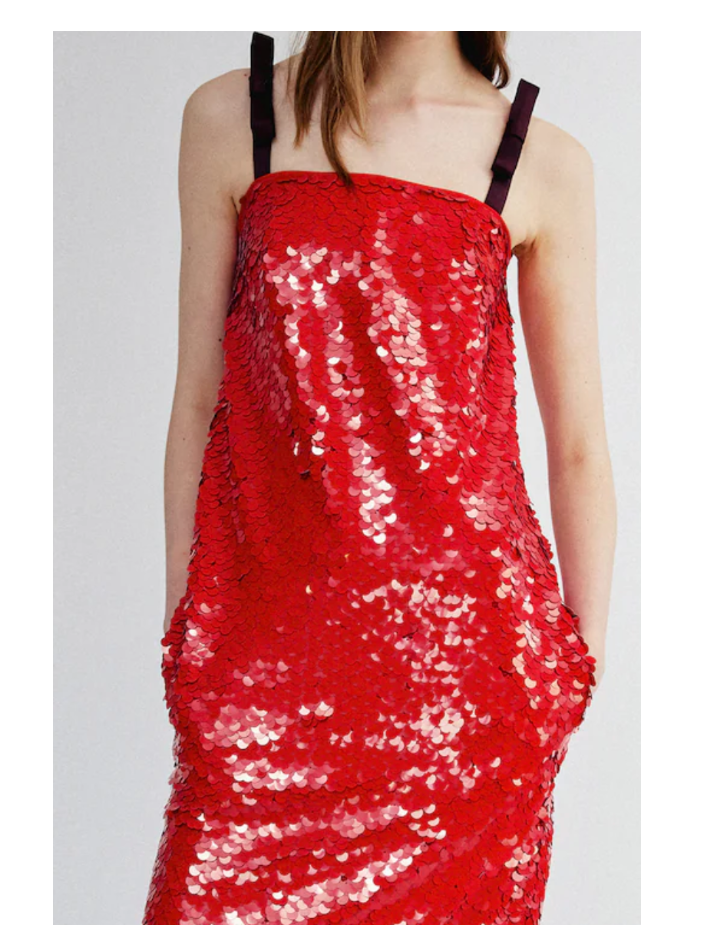 Aknvas Mini Vonna sequins dress (In Store)
