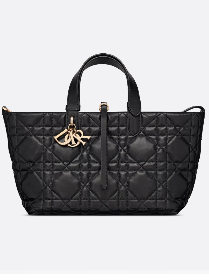 Dior Black Medium Dior Toujours Bag