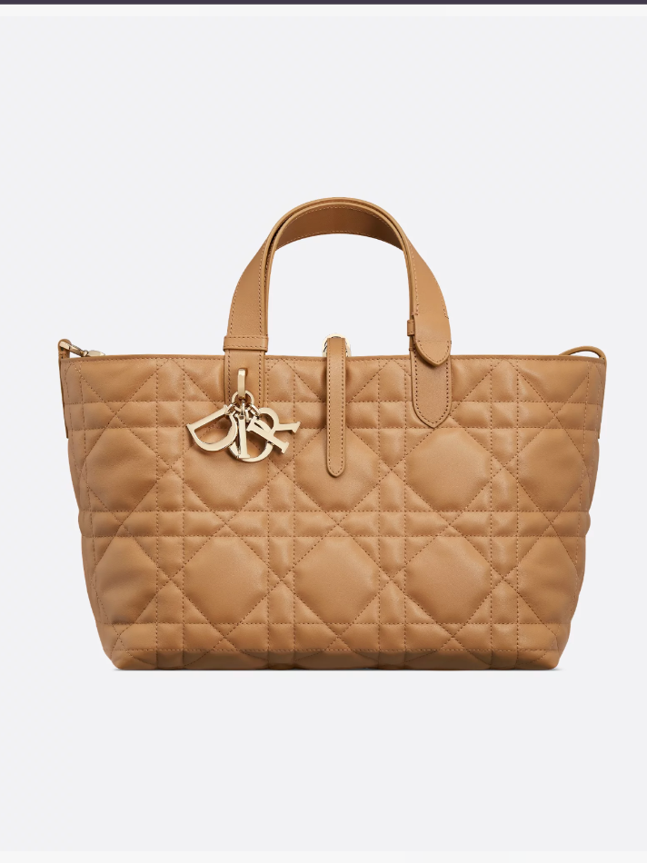 Dior Light Gold-Tone Medium Dior Toujours Bag