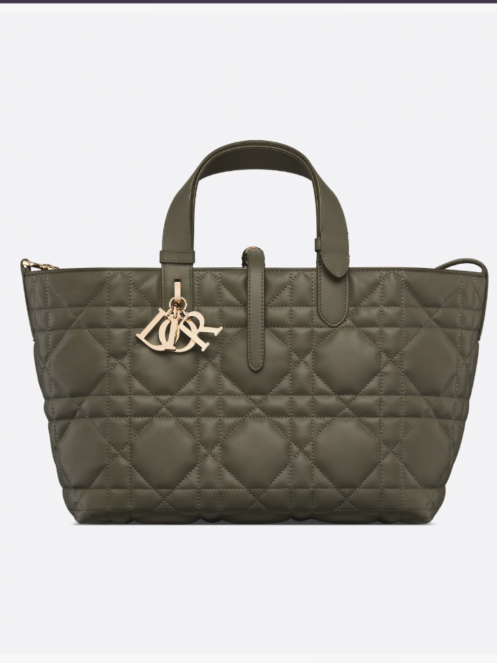Dior Olive Taupe Medium Dior Toujours Bag